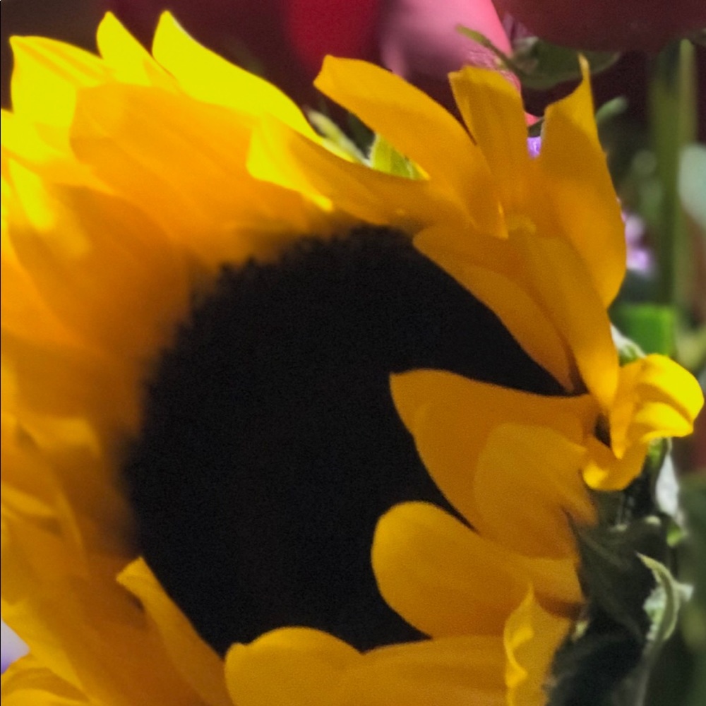 Meet your Posher, Selena